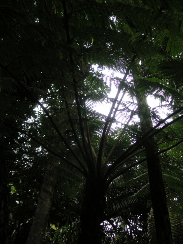 s_A_PICT0094.jpg